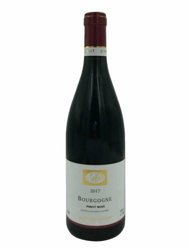 Domaine Jean-Marc Pillot Bourgogne Pinot Noir 2017