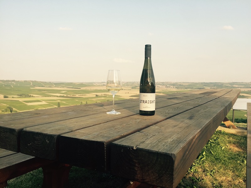 Smukt kig over tyske vinmarker