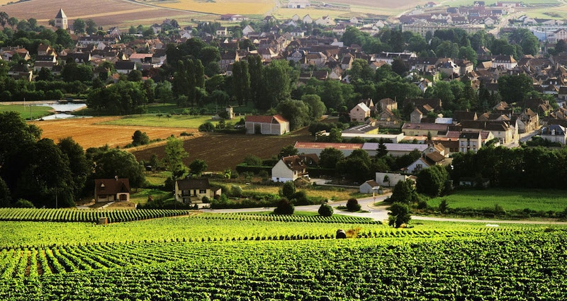 Chablis by i Bourgogne