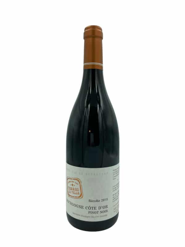 Domaine Terres de Velle Bourgogne Pinot Noir 2019
