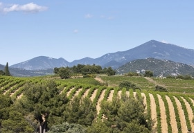 Beaumes De Venise Appellationen