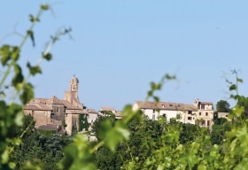 Côtes du Rhône Villages Puymeras Appellationen