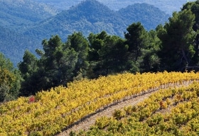 Côtes du Rhône Villages Roaix Appellationen