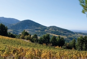 Côtes du Rhône Villages Sablet Appellationen
