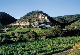 Côtes du Rhône Villages Seguret Appellationen