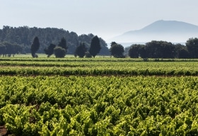 Suze la Rousse Appellationen Côtes du Rhône Villages