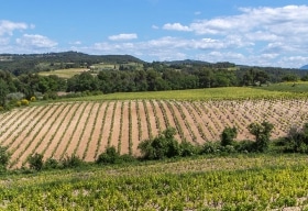 Côtes du Rhône Villages Vaison la Romaine Appellationen