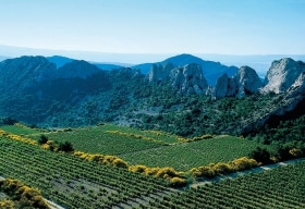 Gigondas Appellationen