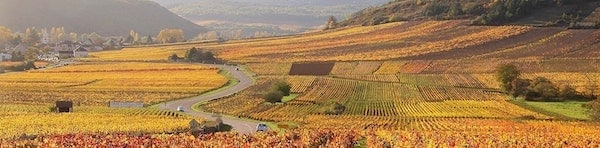 Smukke efterårsfarve i Bourgogne