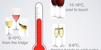 Hvilken temperatur skal vinen serveres ved?