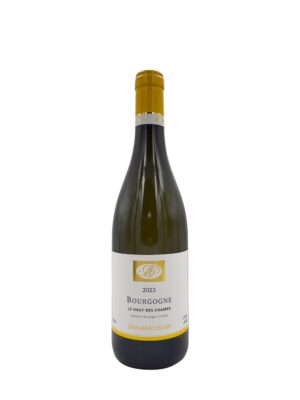 Domaine Jean-Marc Pillot Bourgogne Blanc 2023