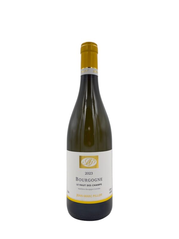 Domaine Jean-Marc Pillot Bourgogne Blanc 2023
