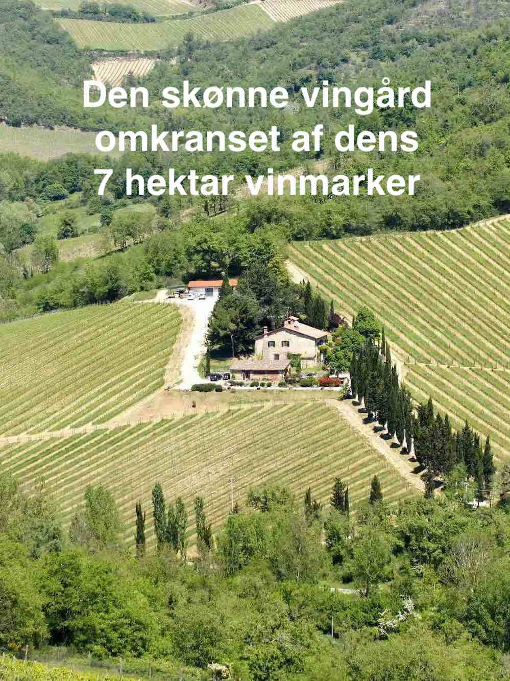 Den smukke vingård Le Miccine