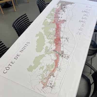 Riedel Sommerlier glas