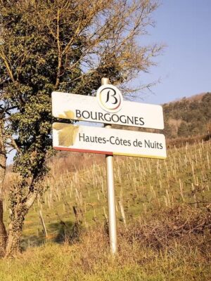 Introduktionskasse Domaine de Montmain (6 flasker)