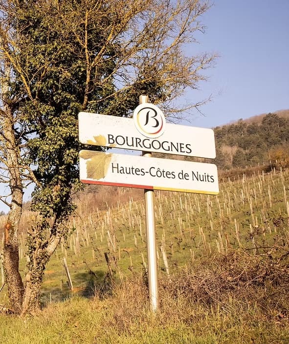 Introduktionskasse Domaine de Montmain (6 flasker)